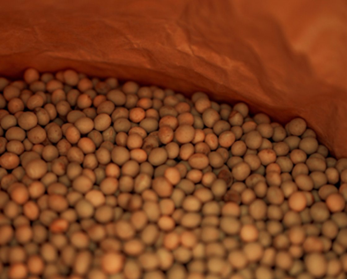 袋に種がたくさん入っている様子