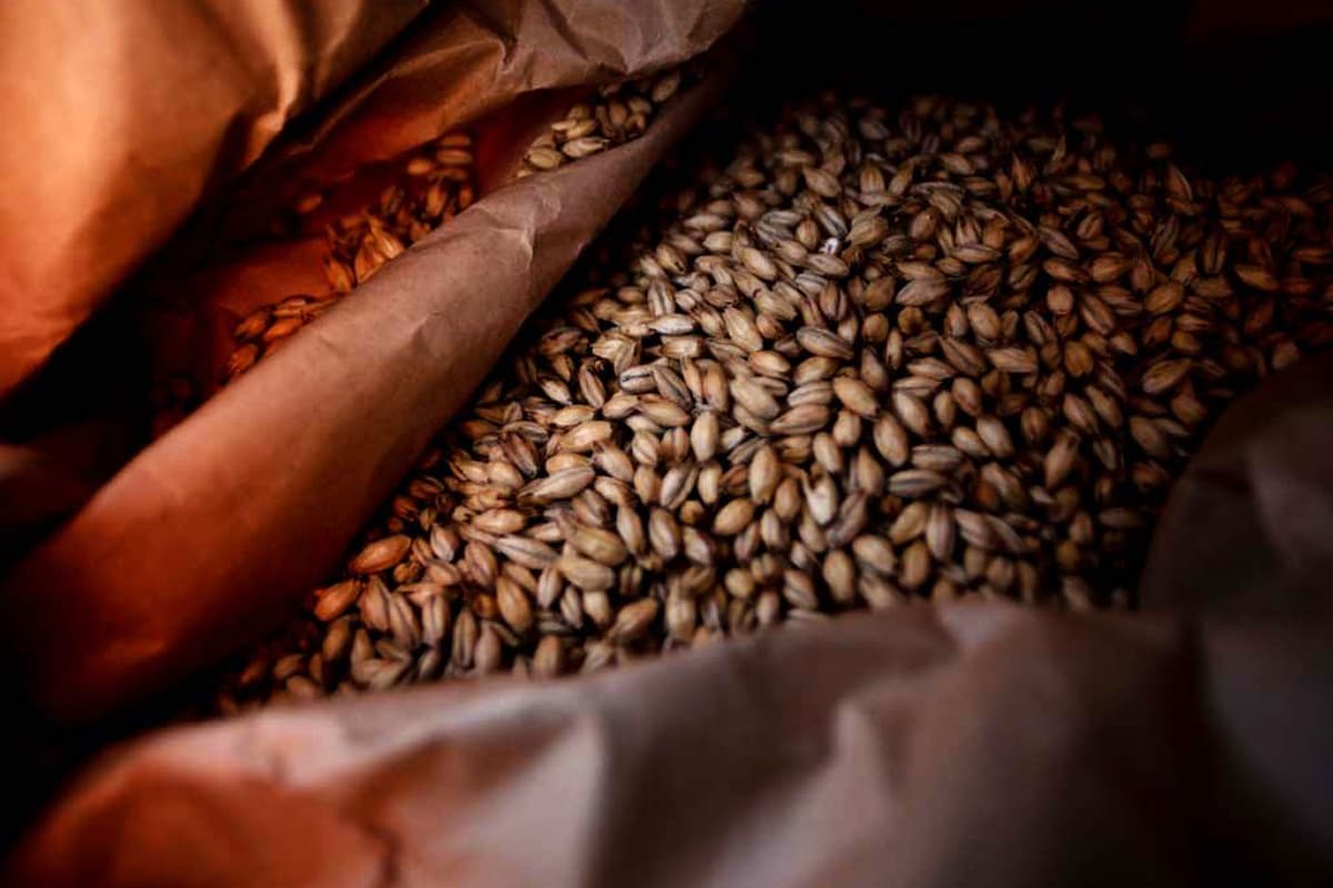 袋に麦がたくさん詰められている様子